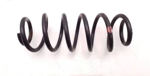 Rear coil spring