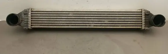 Mercedes-Benz A W169 Intercooler radiator A1695000000