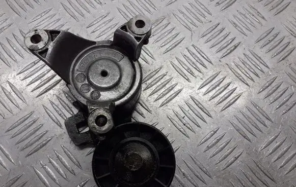 Citroen C5 Alternator belt tensioner pulley TF070J
