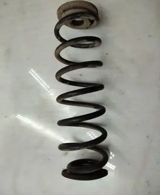 Volkswagen Jetta V Rear coil spring