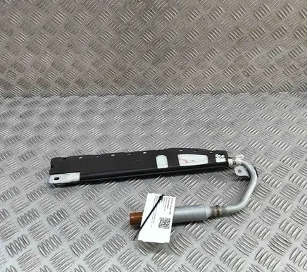 Porsche Boxster 987 Front door airbag 99780309203