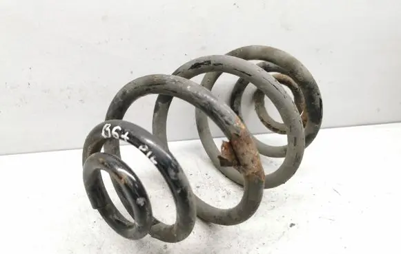 Volkswagen PASSAT B5.5 Rear coil spring