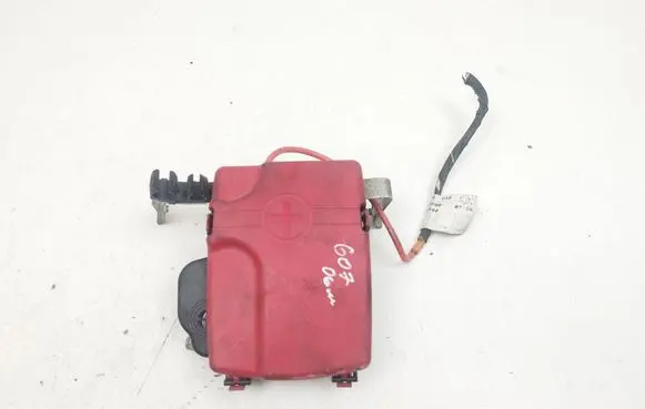 Peugeot 607 Positive wiring loom PBTGF20