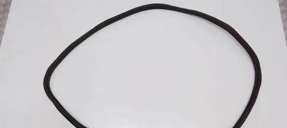 Ford Fusion II Rubber seal rear door 