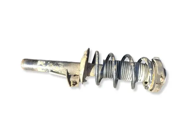 Skoda Octavia Mk2 (1Z) Front shock absorber with coil spring 