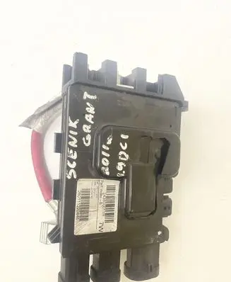 Renault Scenic III - Grand scenic III Positive wiring loom 243800011R