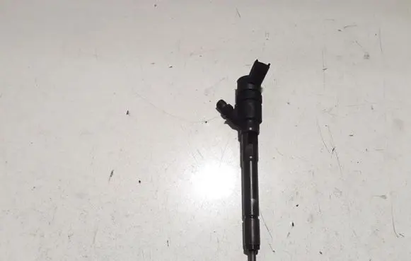 KIA Carens II Fuel injector 0445110258 3380027400