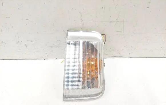 Fiat Ducato Mirror indicator light 3000500