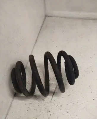 Rear coil spring