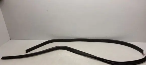 Ford Focus ST Rubber seal rear door 