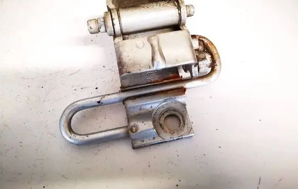 Rear door lower hinge