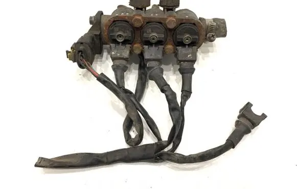 Volkswagen Fox LP gas injector 67R-010233