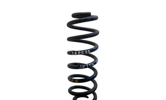 Rear coil spring