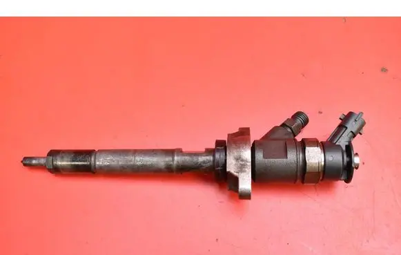 Citroen C5 Fuel injector 0445110297