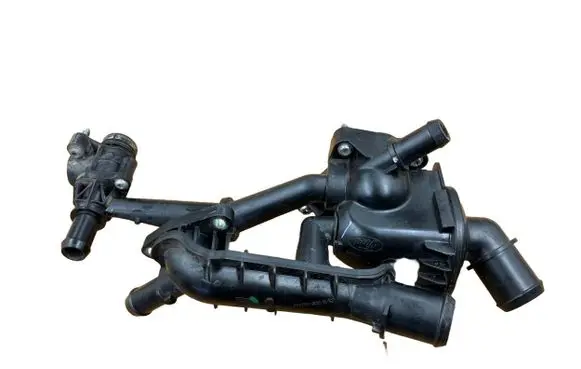 Thermostat/thermostat housing