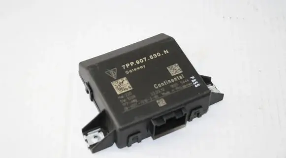 Porsche Cayenne (92A) Gateway control module 7PP907530N