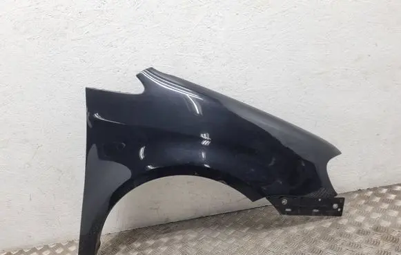 Volkswagen Touran I Fender