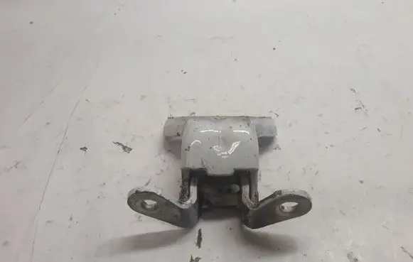 Opel Antara Rear door lower hinge NOCODE