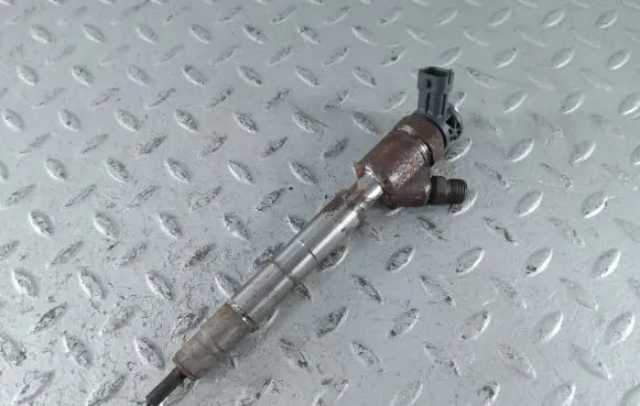 Citroen Berlingo Fuel injector 9828959880 0445110955
