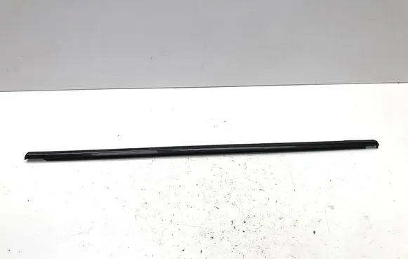 Volkswagen Tiguan Rear door windshield rail 571839475