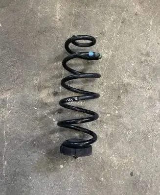 Rear coil spring