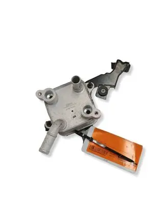 Renault Megane E-Tech Optional radiator TW446670