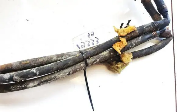 Honda Accord Engine coolant pipe/hose
