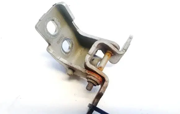 Renault Scenic III - Grand scenic III Rear door lower hinge 80401001