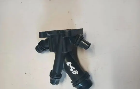 Thermostat/thermostat housing