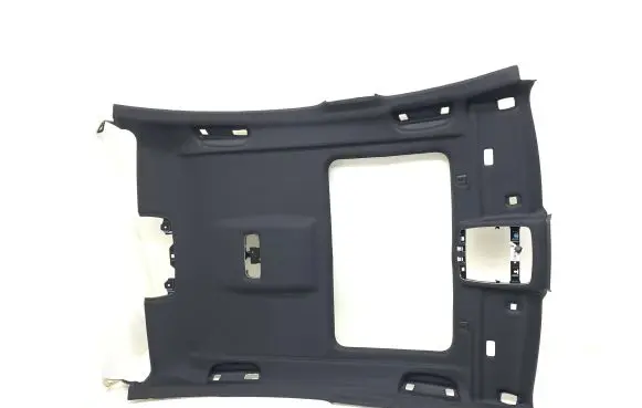 BMW 5 G30 G31 G38 Headlining 8065011