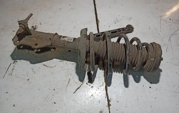 Opel Insignia A Front shock absorber with coil spring 13245966