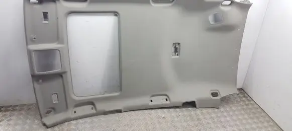 Toyota RAV 4 (XA30) Headlining 