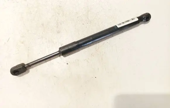 Tailgate/trunk strut/damper
