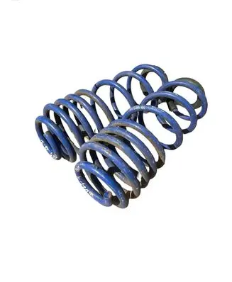 Rear coil spring