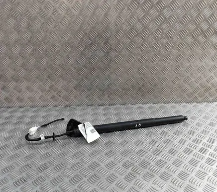 Renault Austral Tailgate/trunk strut/damper 904517907R