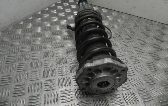 BMW X3 G01 Rear shock absorber/damper 6887148