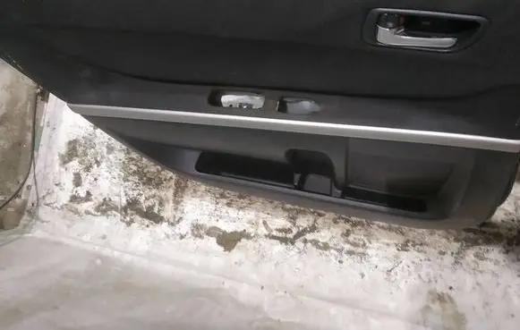 Toyota Corolla Verso AR10 Rear door card panel trim 