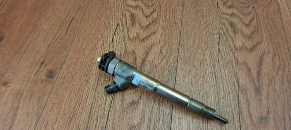 Renault Scenic IV - Grand scenic IV Fuel injector 0445110895 166003281R