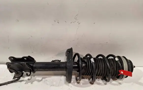 Fiat Punto Evo Front shock absorber/damper