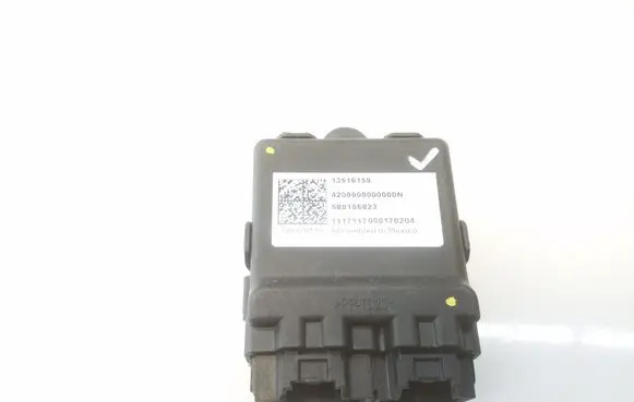 Opel Ampera- E Other control units/modules 13516159