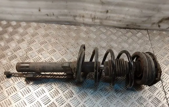 Renault Scenic RX Front shock absorber with coil spring