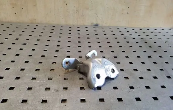 KIA Rio Front door lower hinge 