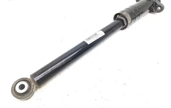 Alfa Romeo Giulia Rear shock absorber/damper 00505491550