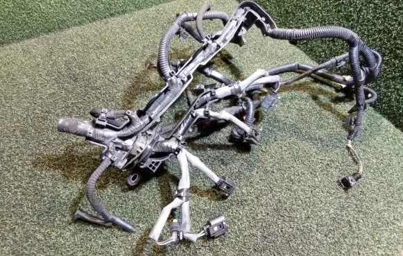 Renault Master III Fuel injector wires 242967745R