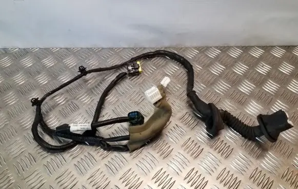 Rear door wiring loom