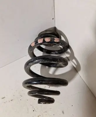 Rear coil spring