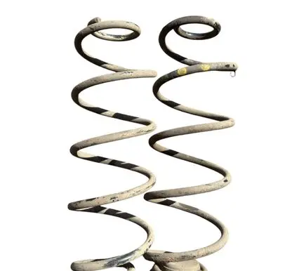 Rear coil spring