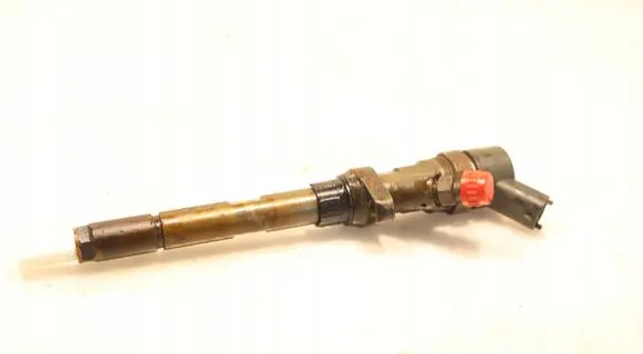 Citroen C5 Fuel injector 0445110036