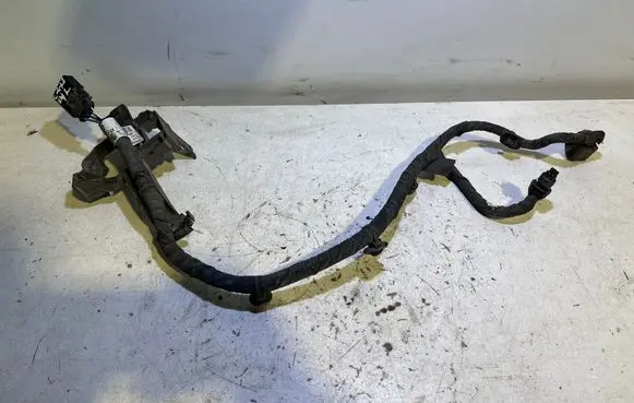 Citroen C4 X Front ABS sensor wiring 9841384880