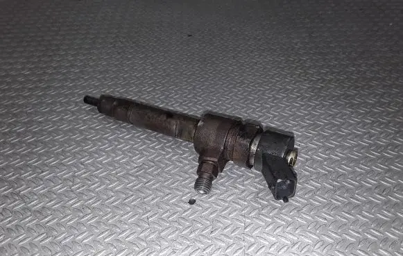 Fiat Punto (188) Fuel injector 0445110019